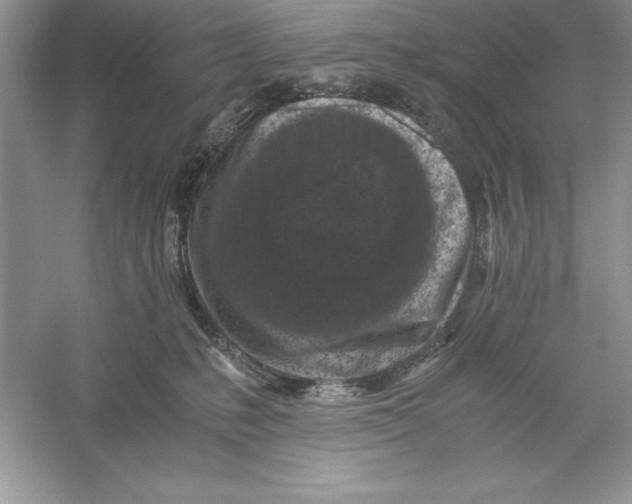 X0000055980231200509092001