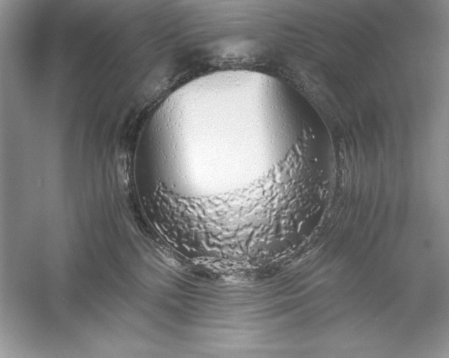 X0000055980232200509092001