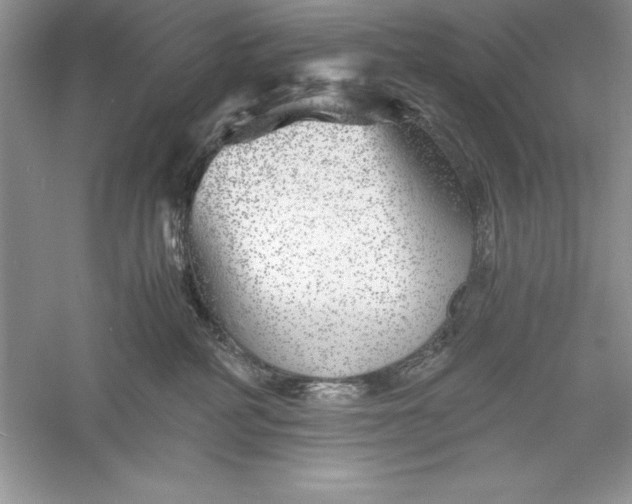 X0000055980234200509092001