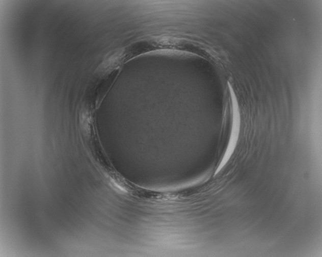 X0000055980235200509092001