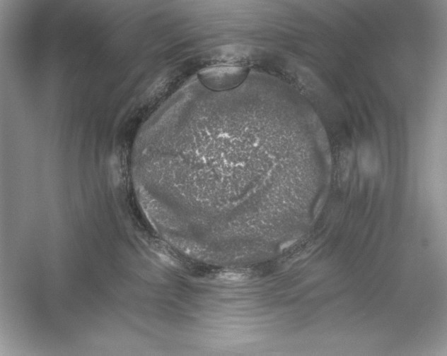 X0000055980236200509092001