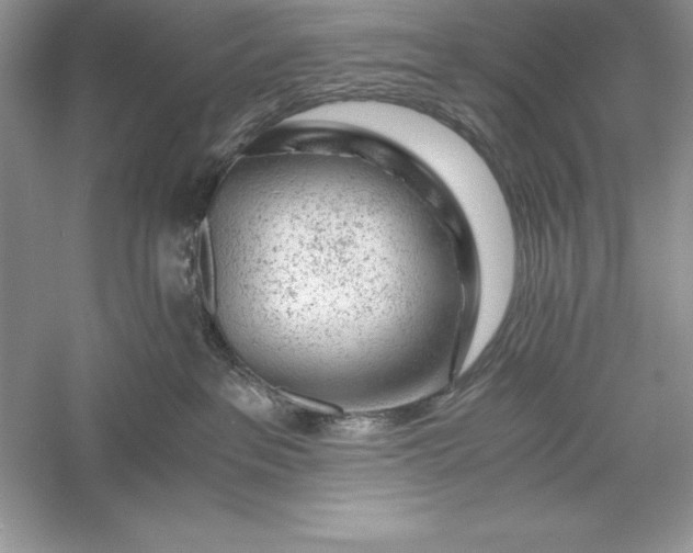 X0000055980237200509092001