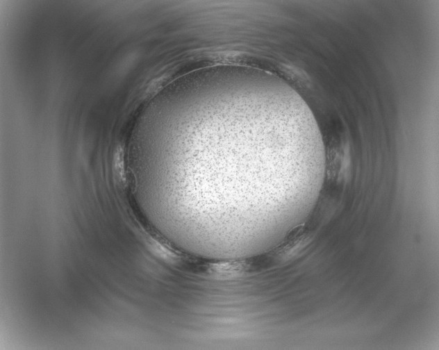 X0000055980238200509092001