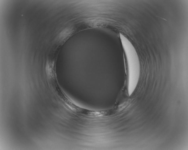 X0000055980239200509092001