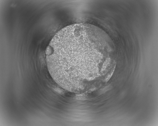 X0000055980240200509092001