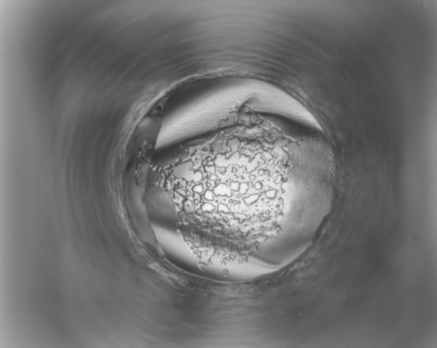 X0000055980241200509092000