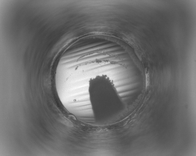 X0000055980243200509092000