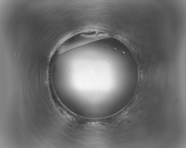 X0000055980244200509092000