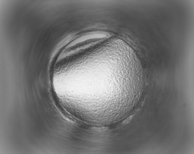 X0000055980245200509092000