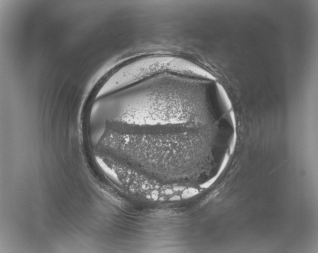 X0000055980246200509092000