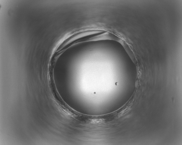 X0000055980248200509092000