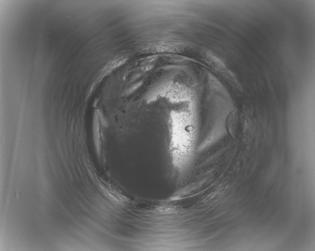 X0000055980250200509092000