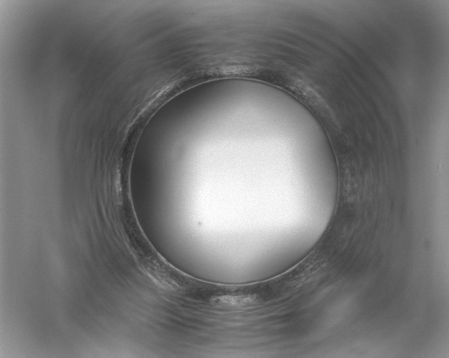 X0000055980251200509092000