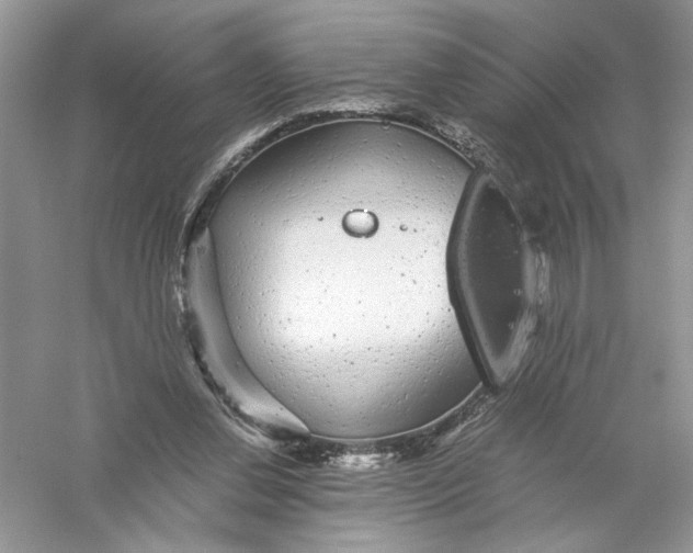 X0000055980252200509092001