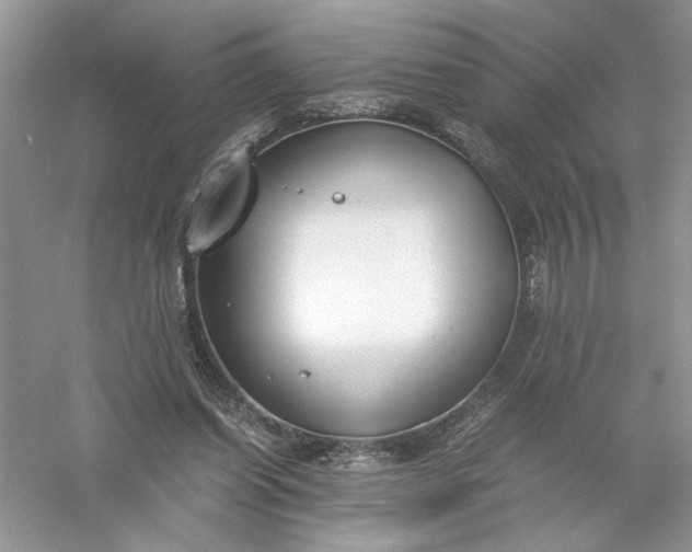 X0000055980254200509092001