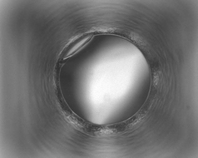 X0000055980256200509092001