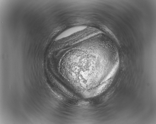 X0000055980257200509092001