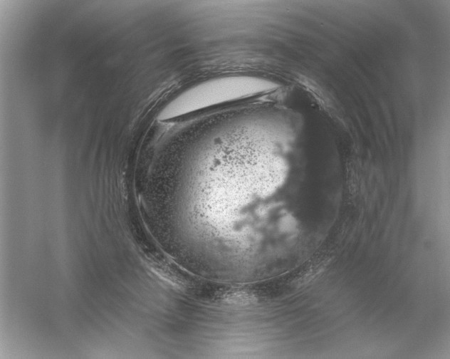 X0000055980258200509092001