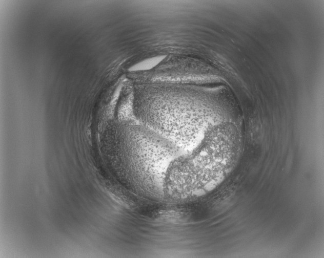 X0000055980259200509092001