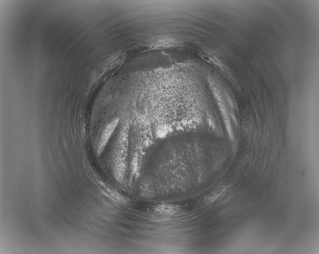 X0000055980261200509092001