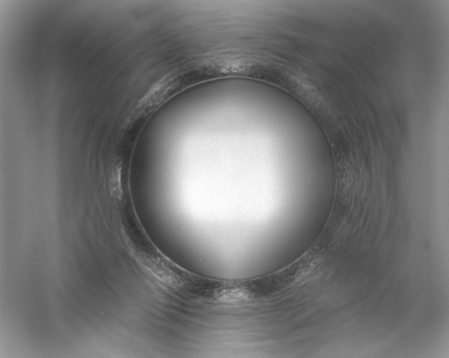 X0000055980262200509092001