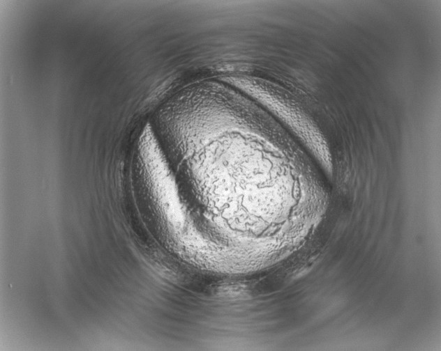 X0000055980263200509092001