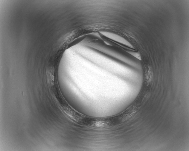 X0000055980264200509092001