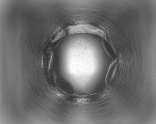 X0000055980268200509092001