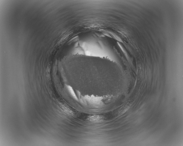 X0000055980269200509092001