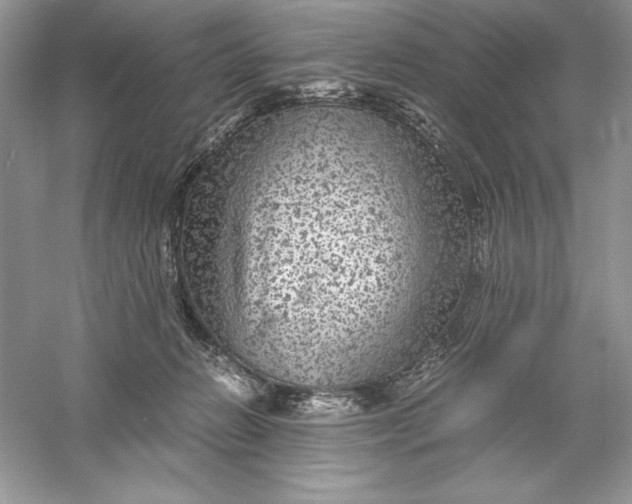 X0000055980270200509092001