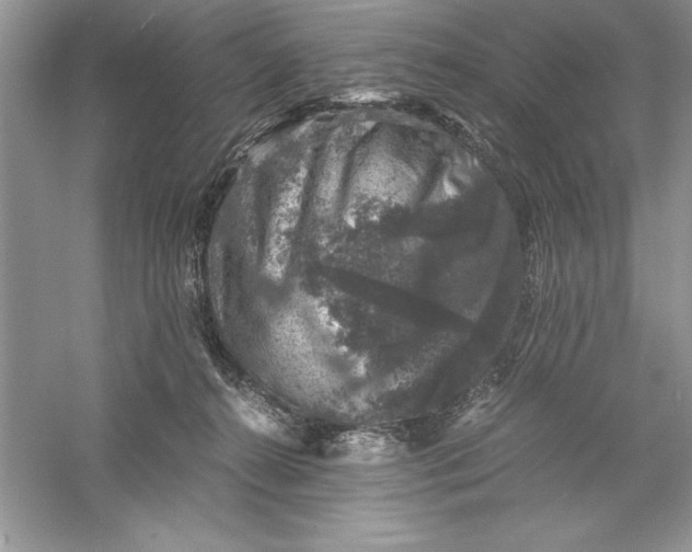 X0000055980272200509092001