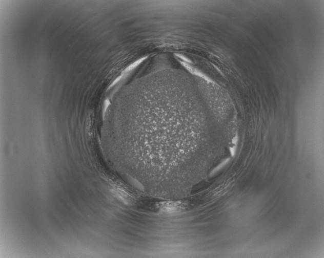 X0000055980273200509092001