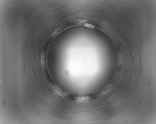 X0000055980274200509092001