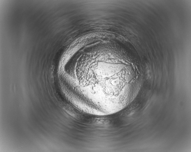 X0000055980275200509092001