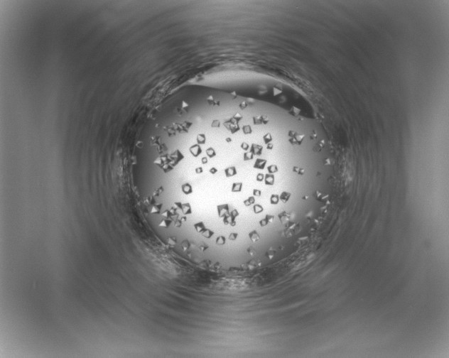 X0000055980276200509092001