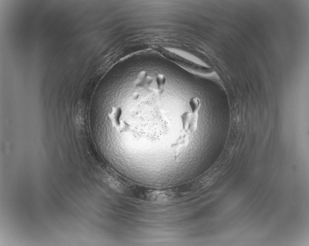 X0000055980277200509092001