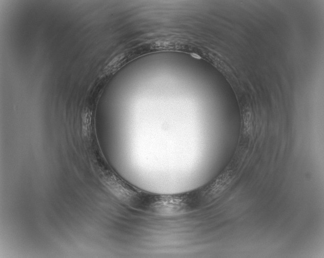 X0000055980278200509092001