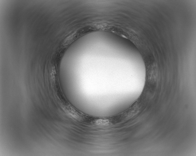 X0000055980279200509092001