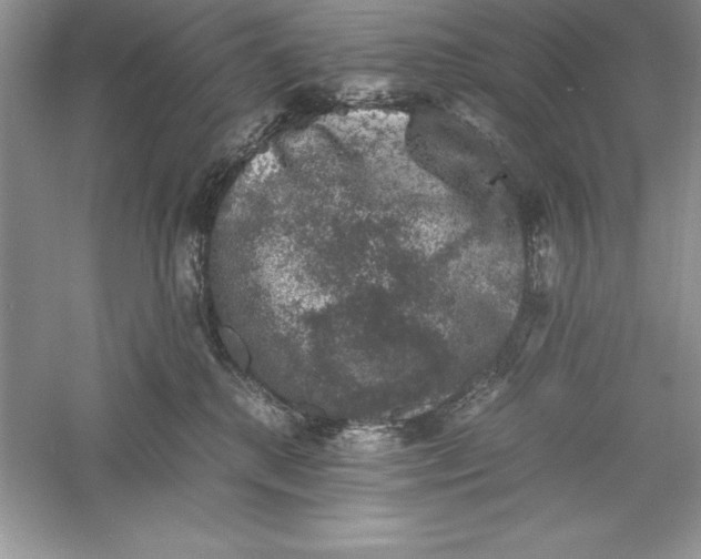 X0000055980280200509092001