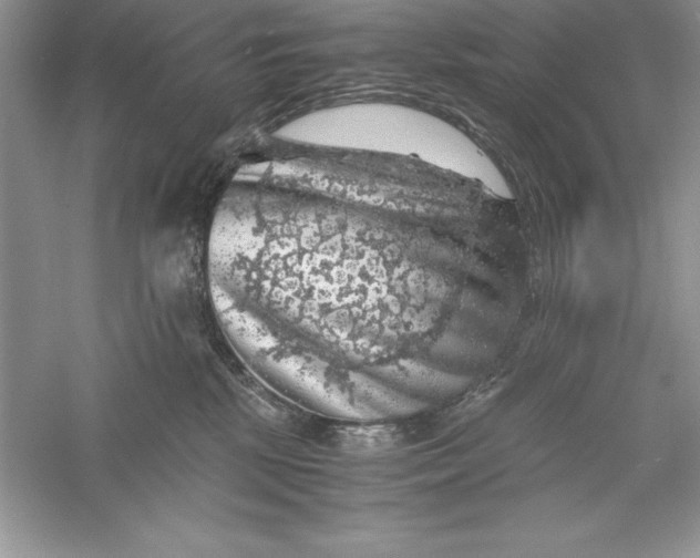 X0000055980281200509092001