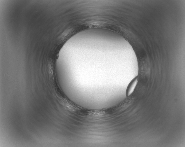 X0000055980282200509092001