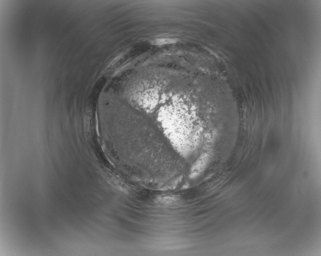 X0000055980283200509092001