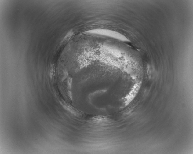 X0000055980284200509092001