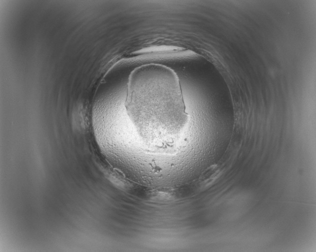 X0000055980285200509092001