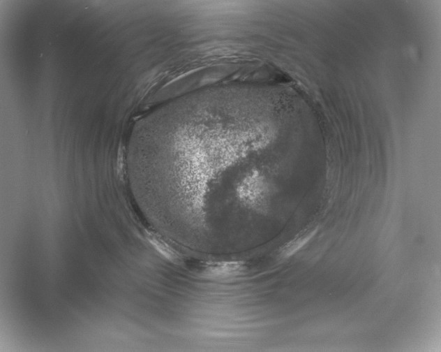 X0000055980288200509092001