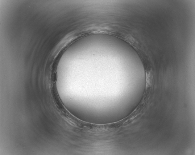 X0000055980291200509092000