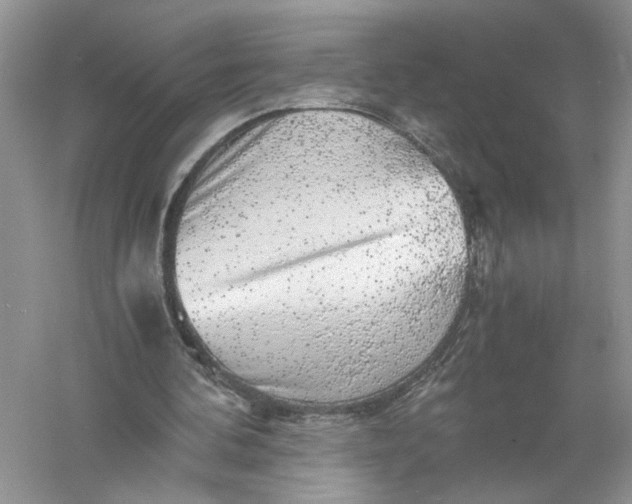 X0000055980292200509092000