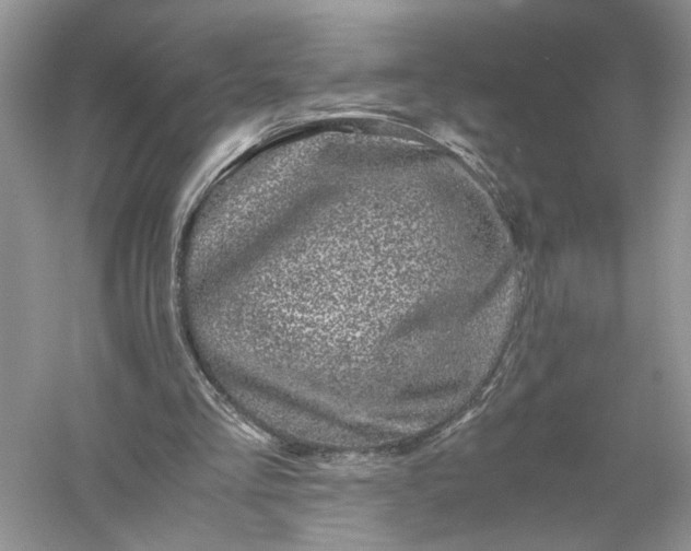 X0000055980293200509092000