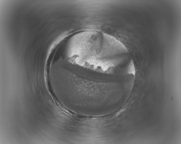 X0000055980294200509092000