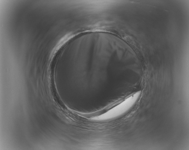 X0000055980295200509092000